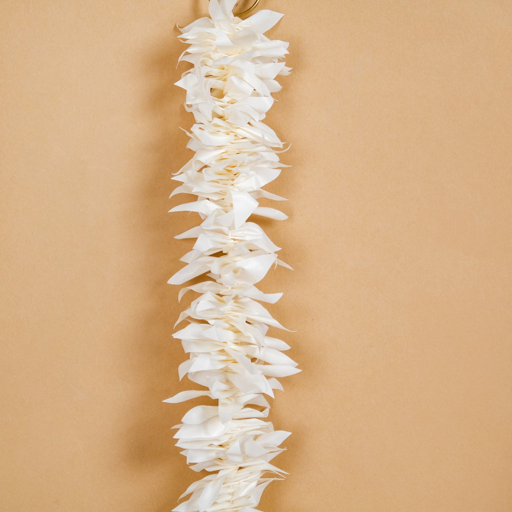 Ring And Bell Sola Flower Wall Hanging Set Of 6